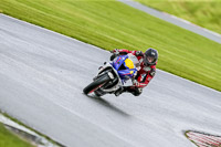 PJ-Motorsport-2019;anglesey;brands-hatch;cadwell-park;croft;donington-park;enduro-digital-images;event-digital-images;eventdigitalimages;mallory;no-limits;oulton-park;peter-wileman-photography;racing-digital-images;silverstone;snetterton;trackday-digital-images;trackday-photos;vmcc-banbury-run;welsh-2-day-enduro